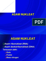 7_Kimia Asam Nukleat