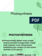 7 Photosynthesis