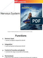 Nervous System