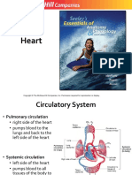 12 - Heart PDF