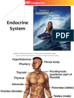 10. Endocrine System