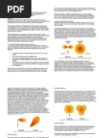 Definition and Overview of Smart Antenna