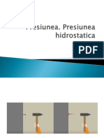 Presiunea - Presiunea Hidrostatica