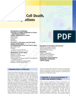 Cell Injury and Death Chapter