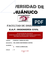 Informe Puente Udh