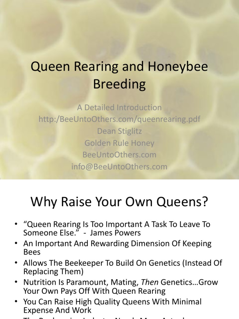 Queen Rearing Techniques for Beekeepers | PDF | Beekeeping | Honey Bee