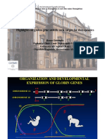 Highlights on globin gene switch