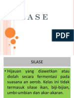 Silase