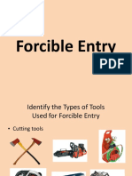 Forcible Entry 2