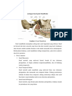 Jaringan Saraf Pada Mandibular