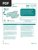 PDF PLS09 02 GeresCabreira