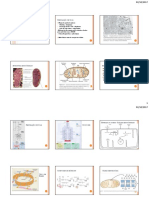 Aula Metabolismo 2 - 6 Slides Por Folha