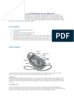 Bahan Bakteri Materi