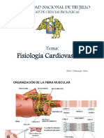 2 Sistema Cardiovascular Musculo Cardiaco