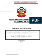 Perfil Cuy Huayucachi Mayo 2009