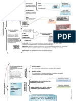 Clases de Personas y Relaciones Juridicas - Cuadro Sinopticos