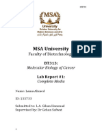 MSA University: Faculty of Biotechnology