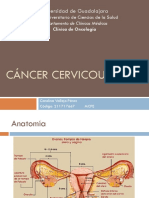 CaCervicouterino Oncologia