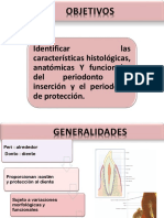 Periodonto de Protección