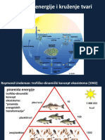 7 Protok Energije Kroz Ekosustav