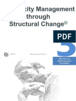 Structure Process Model 2013 Alfonso Cornejo