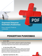 Organisasi Pelayanan Kesehatan (PUSKESMAS)