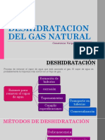 Clase 10. Deshidratacion Del Gnatural