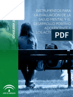 INSTRUMENTOS_DESARROLLO POSITIVO.pdf