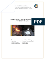guia_Proc._Piro_II_2017_carta.pdf