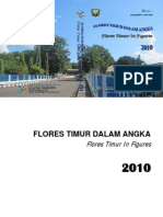 Flotim Dalam Angka 2010