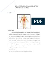 Anatomi Fisiologi Pembuluh Darah Dan Limpa