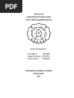 Download MAKALAH AGRONOMI by Ardia Bagus SN361074668 doc pdf