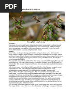 Download Contoh Teks Eksemplum Beserta Strukturnya by Anonymous InyHYgdS7E SN361077193 doc pdf