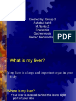 Liver: Created By: Group 3 Ashabul Kahfi M.Nanta.Z Shalsabila Qathrunnada Raihan Rahmadhani