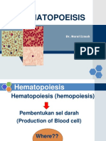 Hematopoeisis: Dr. Nurul Izmah