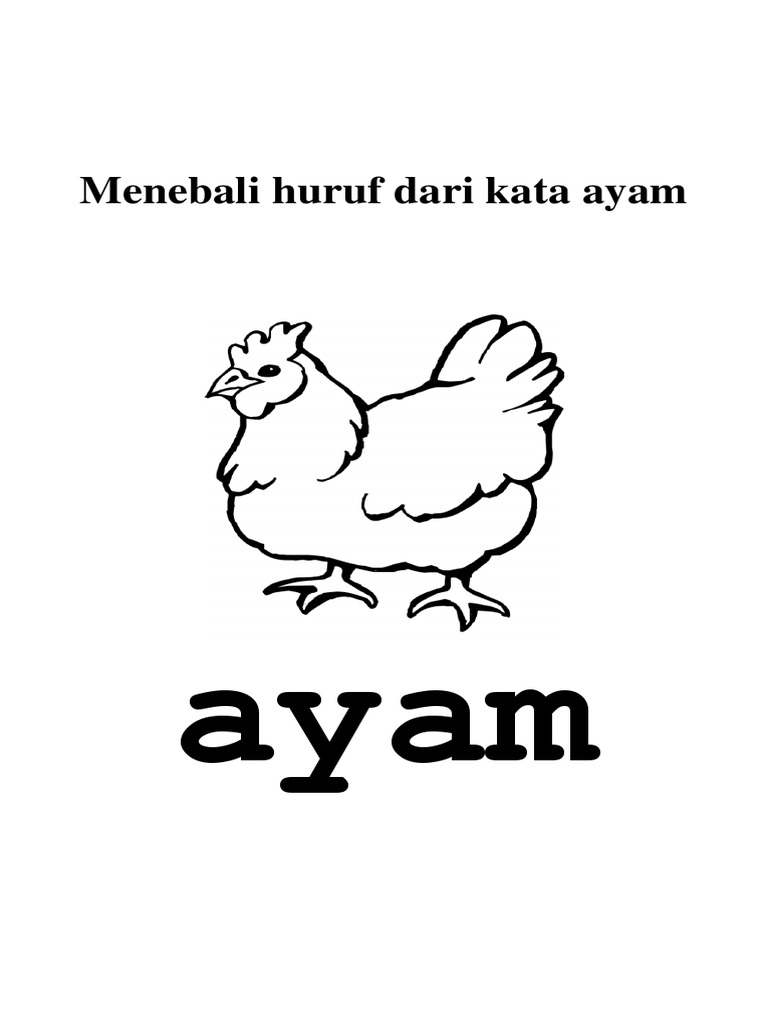 Menebali Huruf Dari Kata Ayam