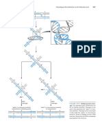 Pages from Watson Molecular Biology of the Gene 7th Edition c2014 txtbk-2.pdf