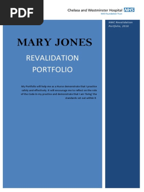 Nursing Revalidation Portfolio Example 2