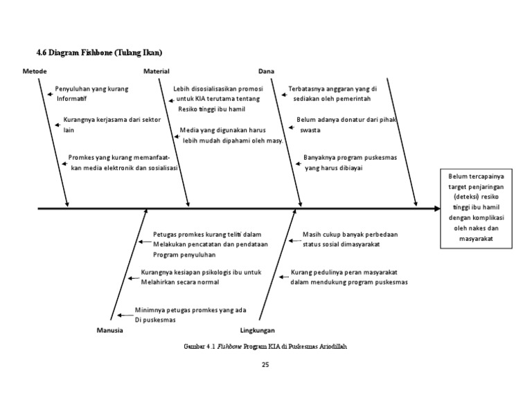Analisis Fishbone Program KIA Puskesmas | PDF