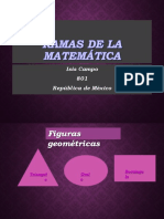 Ramas de La Matemática