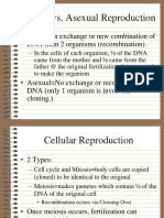 Cellular Reproduction Notes For Website