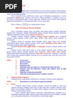 Download Solunum Sistemi by Elit Safe SN36113034 doc pdf