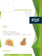 Circuito Productivo Del Trigo 