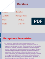 FOTORRECEPTORES