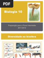 Preparao para a prova intermdia biologia 