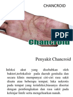 Chancroid
