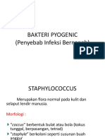 Bakteri Pyogenic