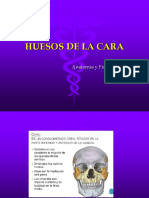 Huesos de la cara y columna vertebral