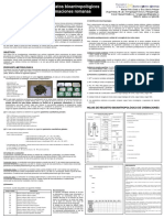 Protocolo Cremaciones PDF