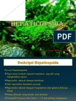 Hepati Cops Ida